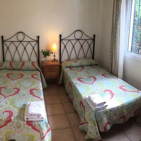 Paradise - Girasoles