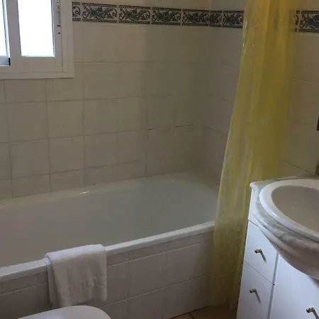 Paradise - Girasoles