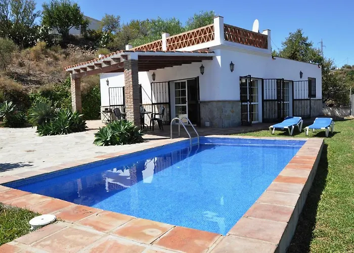 Paradise - Girasoles