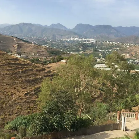 Paradise - Girasoles ネルハ