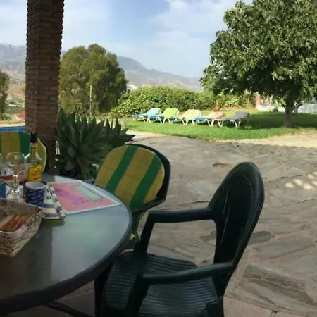 Paradise - Girasoles *