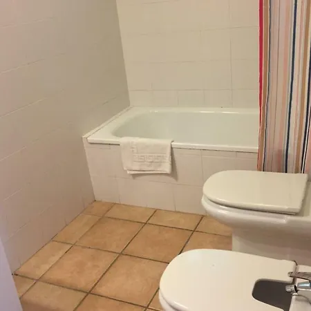 Paradise - Girasoles ネルハ