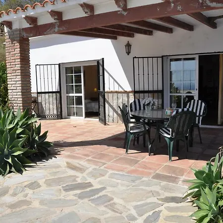 Paradise - Girasoles