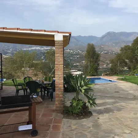 Paradise - Girasoles