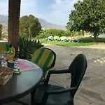 Paradise - Girasoles *