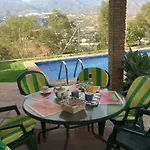 Paradise - Girasoles