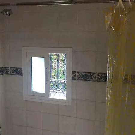 Paradise - Girasoles נרחה