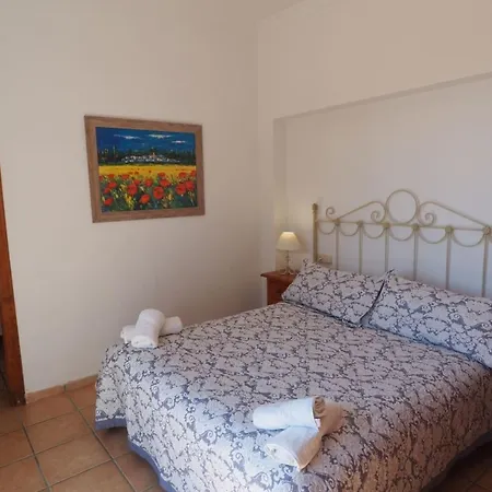 Paradise - Girasoles *