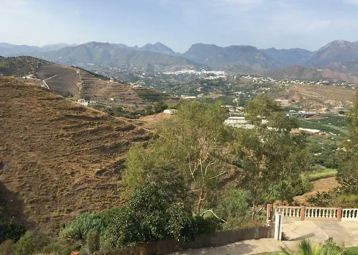 Paradise - Girasoles 네르하