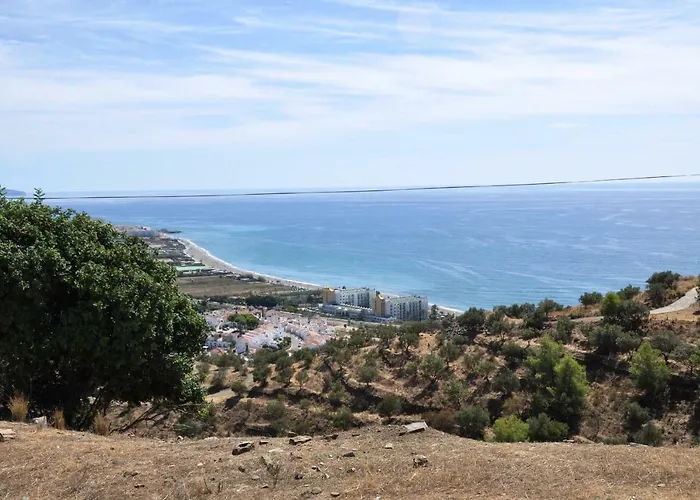 Paradise - Girasoles * Nerja