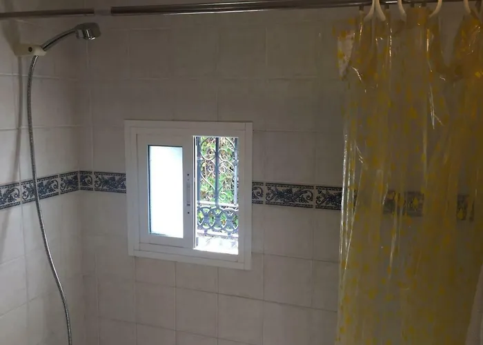 Paradise - Girasoles 네르하