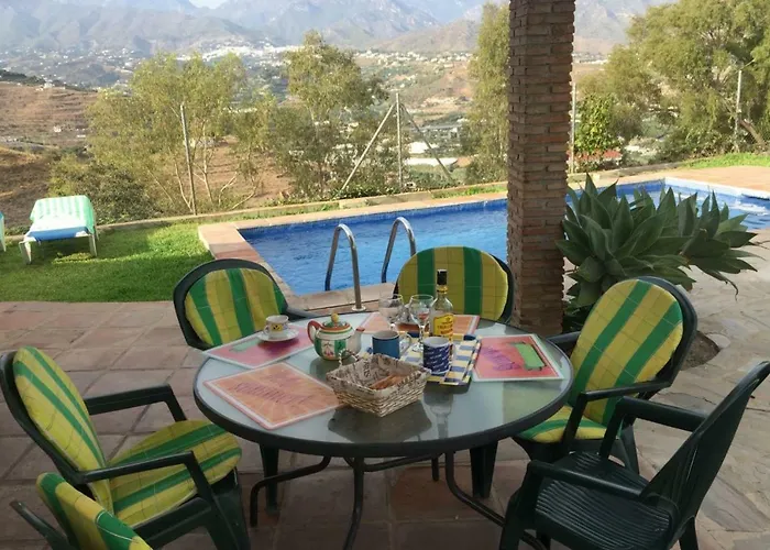 Paradise - Girasoles