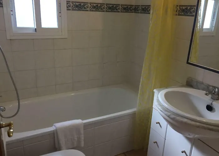 Paradise - Girasoles