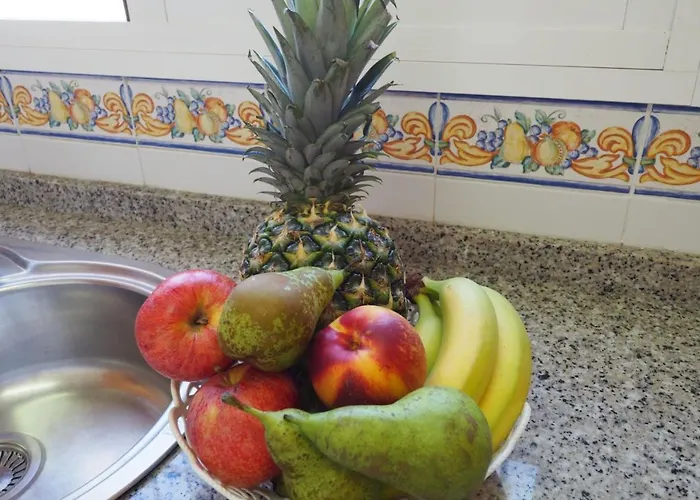 Paradise - Girasoles 네르하