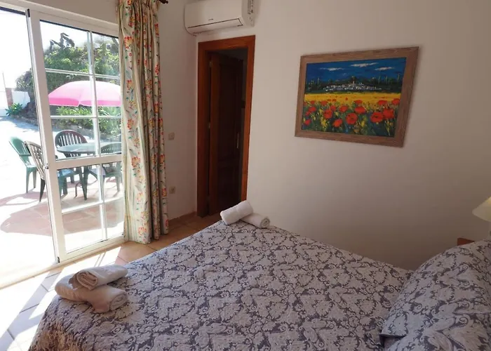 Paradise - Girasoles