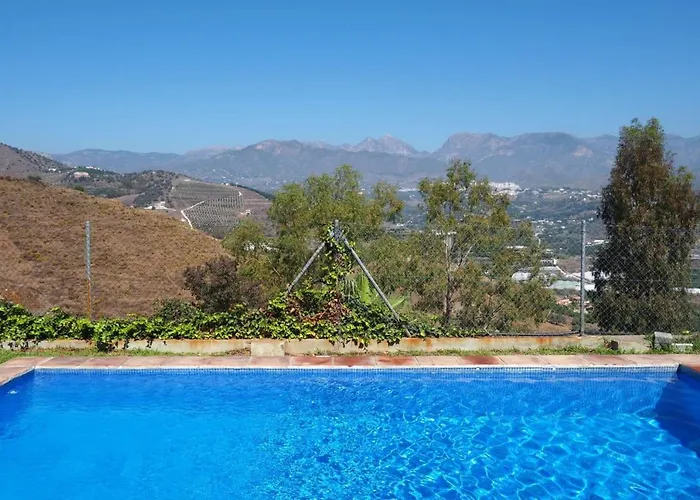 Paradise - Girasoles Nerja