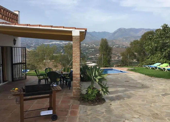 Paradise - Girasoles