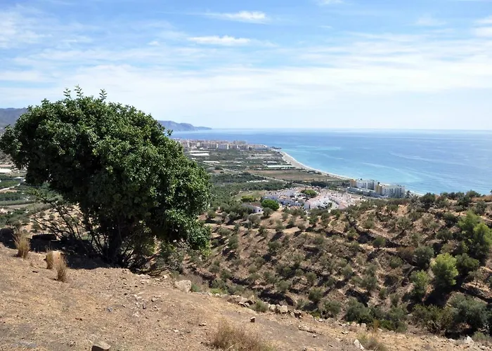 Villa Paradise - Girasoles *