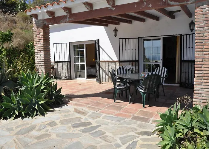 Paradise - Girasoles