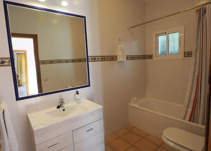 Paradise - Girasoles نيرخا