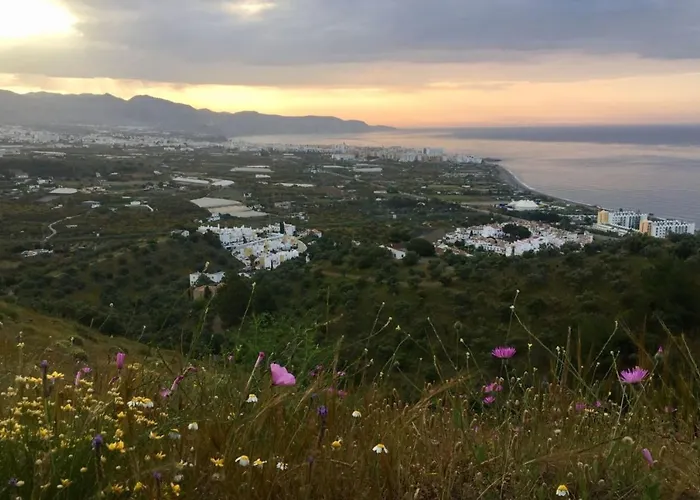 فيلة Paradise - Girasoles