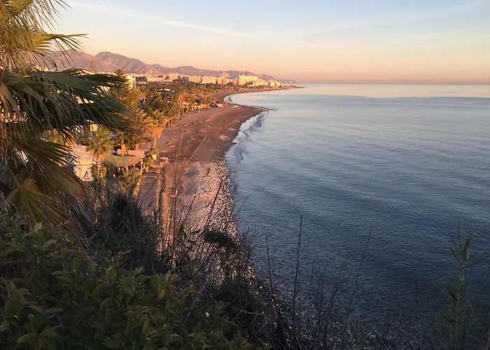 Paradise - Girasoles فيلة *